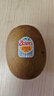 佳沛（zespri）新西蘭  陽(yáng)光金奇異果25-27粒原箱特大果單果約122-146g  獼猴桃 曬單實(shí)拍圖