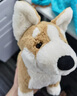 Jellycat貝蒂柯基犬柔軟動(dòng)物毛絨玩偶安撫抱枕玩具娃娃教師節(jié)生日禮物 貝蒂柯基犬 H18 X W26 CM 曬單實(shí)拍圖