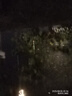 小鳳仙OLED雙排尾行程浮漂夜光漂S3-DF03日夜兩用雙排燈【吃鉛2.2g】 曬單實(shí)拍圖