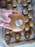 佳沛（zespri）綠奇異果優(yōu)選果27-33個(gè)原箱裝單果約101-135g水果 獼猴桃 曬單實(shí)拍圖