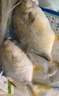 翔泰 海南金鯧魚凈重900g 2條裝  魚類生鮮 燒烤 火鍋食材 海鮮水產(chǎn) 曬單實拍圖