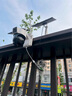 奧克斯4g太陽(yáng)能攝像頭室外無(wú)電無(wú)網(wǎng)終身免費流量免插電手機遠程高清監控器家用戶(hù)外360度無(wú)死角全景夜視 曬單實(shí)拍圖