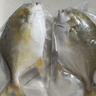 環(huán)球水產(chǎn) 南海金鯧魚(yú)700g 2條 BAP認證深海魚(yú) 冷凍 魚(yú)類(lèi)海鮮 家庭聚餐 曬單實(shí)拍圖