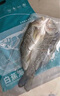 釣魚(yú)記開(kāi)背海鱸魚(yú)1斤-1.3斤 三去凈重 冷凍 生鮮 魚(yú)類(lèi) 海鮮水產(chǎn) 曬單實(shí)拍圖