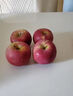 黃六爺2025云南昭通丑蘋(píng)果新鮮昭通市冰糖心丑蘋(píng)果紅富士水果當季整箱 3斤 80mm-85mm 【大果】又脆又甜 曬單實(shí)拍圖