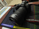 佳能（Canon）EOS R5 Mark II 全畫幅專業(yè)微單數(shù)碼相機(jī) 8K Vlog高清視頻直播家用照相機(jī) 單機(jī)身 旅行暢玩套裝 曬單實(shí)拍圖