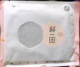 彩田內褲女士棉中腰4條裝新疆長(cháng)絨棉女生大碼純色簡(jiǎn)約10A抗菌襠三角褲 加長(cháng)襠中腰A：淺粉+芋粉+水藍+云紫 4條 L 165/95適合100-115斤左右 曬單實(shí)拍圖