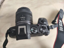 佳能（Canon）佳能R8 全畫幅微單數(shù)碼相機 4K視頻高清直播 小巧便攜高畫質專微 旅行家用照相機 掃街旅拍套裝 曬單實拍圖