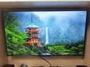松下（Panasonic）電視 43/50/55/65/75英寸 4K超清懸浮全面屏 開(kāi)機無(wú)廣告 雙頻WiFi AI語(yǔ)音 智能平板彩電 以舊換新 55英寸 TH-55LX600C 官方標配 曬單實(shí)拍圖