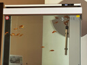 森森（SUNSUN）大型魚(yú)缸底過(guò)濾水族箱客廳家用落地玻璃生態(tài)金魚(yú)缸 超白款升級底濾 0.8米長(cháng)35cm寬（黑白可選） 曬單實(shí)拍圖