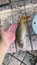 南北 幸運7土鯪魚(yú)餌專(zhuān)攻廣東鯪魚(yú)野釣統殺土凌麥鯪魚(yú)料小藥打窩魚(yú)餌料 土鯪6包（腥味3+奶香3） 曬單實(shí)拍圖