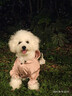 憨憨寵狗狗雨衣狗衣服小型犬全包四腳反光戶(hù)外防風(fēng)保暖沖鋒衣服防水雨披 粉色 XL號建議體重8-10斤 曬單實(shí)拍圖