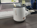 瓷秀源馬克杯帶蓋帶勺牛奶杯子陶瓷創(chuàng)意水杯女咖啡杯歐式情侶杯 小金貓-C款 曬單實(shí)拍圖