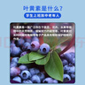 葵花藍(lán)莓葉黃素眼部護(hù)理液葉黃素滴眼液可搭眼藥水疲勞熬夜玩手機(jī)正品 拍1發(fā)2 到手2瓶【優(yōu)惠裝】 曬單實(shí)拍圖