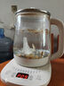 小熊（Bear）養(yǎng)生壺 煮茶壺 恒溫水壺 保溫?zé)惑w智能電熱水壺花茶壺?zé)畨?11檔保溫 1.5L大容量 YSH-J15Z7 曬單實(shí)拍圖