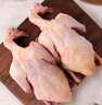 京覓 飛翔鴿系列乳鴿凈重900g（300g*3只）獨(dú)立裝冷凍烤乳鴿煲湯食材 曬單實(shí)拍圖