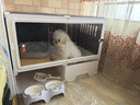 petlimit寵物p鏈p繩狗狗牽引繩遛狗鏈子小中大型訓(xùn)犬防爆沖隨行牽引1.2米 曬單實(shí)拍圖