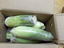 京鮮生&佳農(nóng)寶菜山東水果玉米單根275g+鮮甜多汁4-7根凈重4.6斤源頭直發(fā) 曬單實拍圖