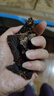 哈俏格（HAQIAOGE）四川九寨溝特產(chǎn)正宗風(fēng)干牛肉干500g阿壩州高原多味熟牛肉解饞零食 麻辣250g+香辣250g 曬單實(shí)拍圖