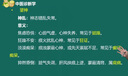 2025年正保醫學(xué)教育網(wǎng)執業(yè)醫師二試急救特訓班中醫臨床助理考前沖刺網(wǎng)課視頻歷年真題教材資料電子版試卷 中醫助理醫師 二試急救班(刷題密訓+實(shí)戰?？?督學(xué)答疑) 曬單實(shí)拍圖