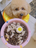 耐吉斯鮮肉烘焙狗糧1.5kg淚痕管理100%真鮮肉鴨肉梨狗糧成犬幼犬犬糧3斤 曬單實拍圖