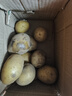 瘋搶土豆新鮮現(xiàn)挖2025新土豆農(nóng)家馬鈴薯黃皮黃心 黃心土豆小果 2斤(帶箱) 曬單實(shí)拍圖