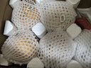 都樂(lè )Dole 秋月梨 產(chǎn)地直發(fā) 現摘現發(fā) 凈重1.6kg 4-6枚 簡(jiǎn)裝 曬單實(shí)拍圖