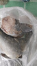 鲅魚(yú)段馬鮫魚(yú)塊鮐鲅魚(yú)塊鲅魚(yú)肉餡鲅魚(yú)水餃鲅魚(yú)新鮮鮮活海鮮批發(fā) 手工鲅魚(yú)3/4兩切段【三斤裝】 曬單實(shí)拍圖