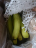 高山精品甜蕉現摘新鮮水果香蕉孕婦寶寶輔食搭配丫丫生鮮特產(chǎn) 2斤帶箱裝【青蕉發(fā)貨】 曬單實(shí)拍圖