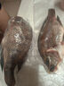翔泰海南三去羅非魚(yú)/海南鯛1400g/共4條免處理 生鮮魚(yú)類(lèi) 海鮮水產(chǎn)中秋 曬單實(shí)拍圖