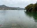 魚護包可折疊裝魚袋大容量加厚防水釣魚包漁護黑坑野釣專用活魚袋 加厚便攜防臭魚護包（黃色）小號 曬單實拍圖