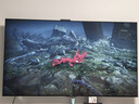 任天堂正版Switch游戲 NS游戲卡帶 游戲機數字版下載版 買(mǎi)三送一 中文 毛線(xiàn)小精靈2 標準版 曬單實(shí)拍圖