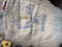 德佑 拉拉褲嬰兒成長褲新生男女寶干爽尿不濕舒適小內褲XL碼24片*2包 曬單實拍圖