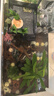 闊庭（KUOTING）魚(yú)龜混養缸烏龜專(zhuān)用缸升降爬臺客廳辦公室生態(tài)過(guò)濾缸白色【大號】 曬單實(shí)拍圖