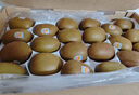 佳沛（zespri）新西蘭 陽光金奇異果12粒禮盒特大果單果約122-146g 獼猴桃 水果 曬單實拍圖