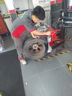 ENTDA安達輪胎 汽車輪胎 215/55R17 98W D01 適配秦plus 曬單實拍圖