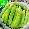 京鮮生 海陽(yáng)白玉黃瓜 凈重4斤 生吃水果黃瓜 新鮮現摘減脂餐 源頭直發(fā) 曬單實(shí)拍圖