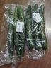 長(cháng)黃瓜約600g 曬單實(shí)拍圖