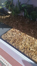 REPTIZOO新派爬寵森林地表樹(shù)皮墊材陸龜蜥蜴蛇爬蟲(chóng)造景除臭保濕墊材用品 森林地表26.4L 曬單實(shí)拍圖