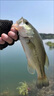 LISM魚(yú)護網(wǎng)小型漁護速干野釣便攜納米防臭裝魚(yú)袋折疊魚(yú)簍收口網(wǎng)兜 僅魚(yú)護【無(wú)地插無(wú)包】自帶兩股3米繩子 寬55厘米*0.5米長(cháng) 曬單實(shí)拍圖