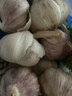 【營(yíng)田半畝】蒜干蒜頭蒜大蒜紫白皮大蒜當(dāng)季蔬菜0.5-5斤 250克袋裝【果徑3.5-4.5cm】中果 曬單實(shí)拍圖