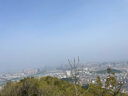 三槍【簡(jiǎn)系列】夏季女士襪子女船襪女隱形船襪棉襪底防滑超薄襪 曬單實(shí)拍圖