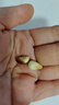 新邊界 摯甄摯愛(ài)開(kāi)口松子400g 原味手剝東北松子紅休閑零食堅果小吃 曬單實(shí)拍圖
