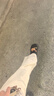 名創(chuàng  )優(yōu)品（MINISO）洞洞鞋女男夏季外穿沙灘涼鞋防滑厚底踩屎感包頭涼拖鞋黑色36-37 曬單實(shí)拍圖
