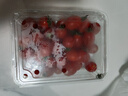 【水果菜】吮指小糖豆400g(小番茄) 曬單實(shí)拍圖