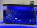 當貝智能生態(tài)魚(yú)缸1Ultra 一體缸自循環(huán)桌面魚(yú)缸+HIDOM增氧泵套餐 曬單實(shí)拍圖