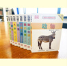 DK幼兒認(rèn)知百科全書新版（套裝共8冊(cè)，附贈(zèng)中英雙語音頻）[0-4歲]兒童認(rèn)知教育科普百科高清原版真圖符合低幼兒童認(rèn)知并配有免費(fèi)中英雙語音頻 曬單實(shí)拍圖