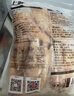 華英（HUAYING） 精切鴨全腿2.4斤冷凍瘦肉型櫻桃谷鴨醬鹵鴨腿 曬單實(shí)拍圖