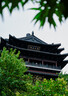 尼康（Nikon）Z6II（Z6 2/Z62）全畫(huà)幅微單相機(jī) 微單套機(jī) （24-70mm f/4 S微單鏡頭 約2,450萬(wàn)有效像素） 曬單實(shí)拍圖