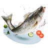 鴻順?三去海鱸魚(yú)3斤3條 去鱗去腮去內臟 國產(chǎn) 生鮮魚(yú)類(lèi) 源頭直發(fā) 曬單實(shí)拍圖